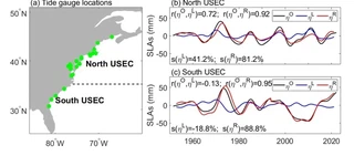 Left, a map of the U.S. East Coast with 22 tide gauges marked in green and a dashed line at Cape Hatteras dividing the north and south coasts. Right, two time series from 1950 to 2023 for the north and south coasts, each showing observed decadal sea level anomalies in black, the locally forced part in blue and the remotely forced part in red. The red curves track the black ones closely.